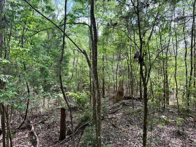 14037 OLD CRYSTAL RIVER RD, BROOKSVILLE, FL, 34601