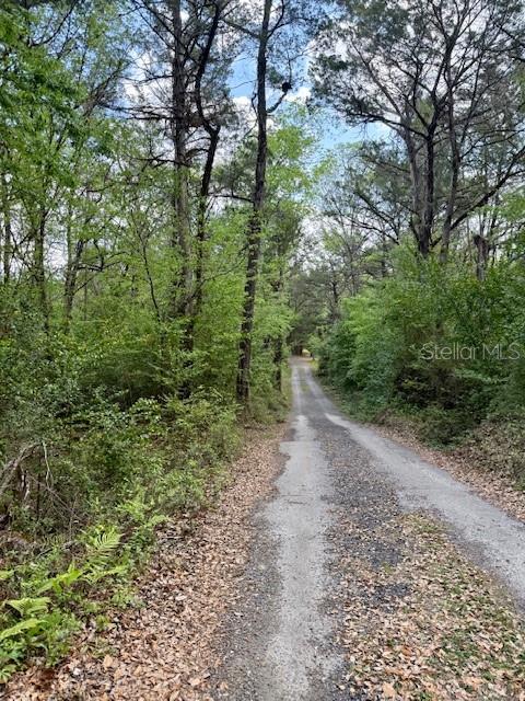 14037 OLD CRYSTAL RIVER RD, BROOKSVILLE, FL, 34601