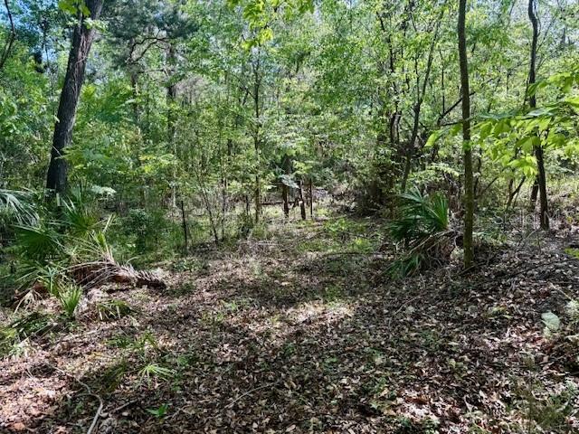 14037 OLD CRYSTAL RIVER RD, BROOKSVILLE, FL, 34601