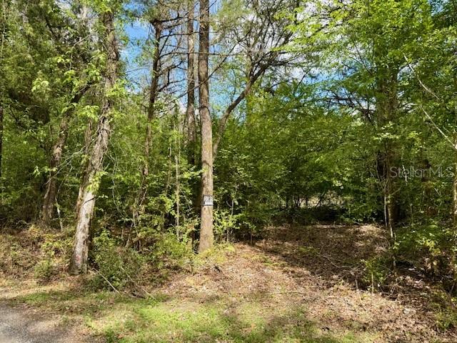 14037 OLD CRYSTAL RIVER RD, BROOKSVILLE, FL, 34601