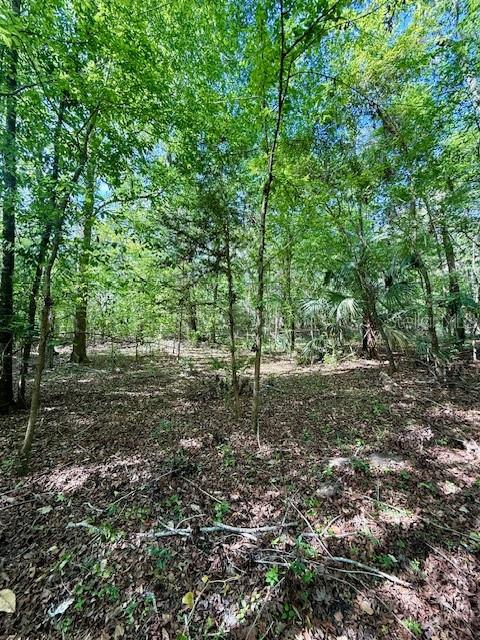 14037 OLD CRYSTAL RIVER RD, BROOKSVILLE, FL, 34601