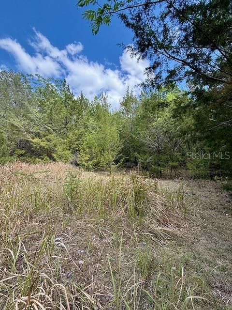 14037 OLD CRYSTAL RIVER RD, BROOKSVILLE, FL, 34601