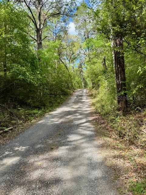 14037 OLD CRYSTAL RIVER RD, BROOKSVILLE, FL, 34601