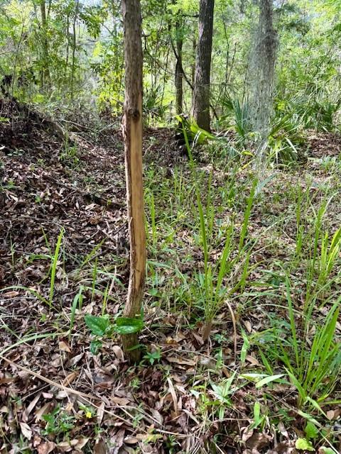 14037 OLD CRYSTAL RIVER RD, BROOKSVILLE, FL, 34601