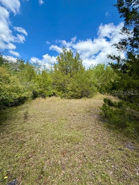 14037 OLD CRYSTAL RIVER RD, BROOKSVILLE, FL, 34601