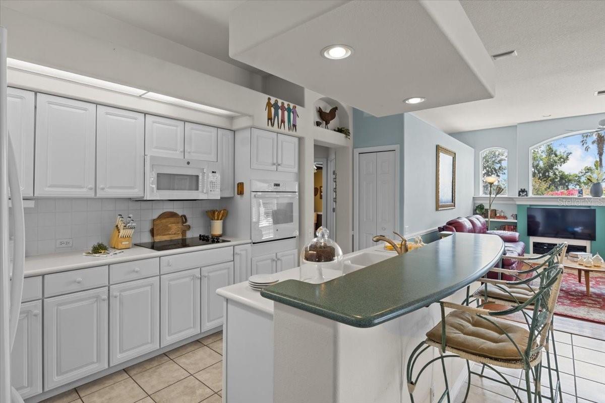 3859 LITTLE COUNTRY RD, PARRISH, FL, 34219