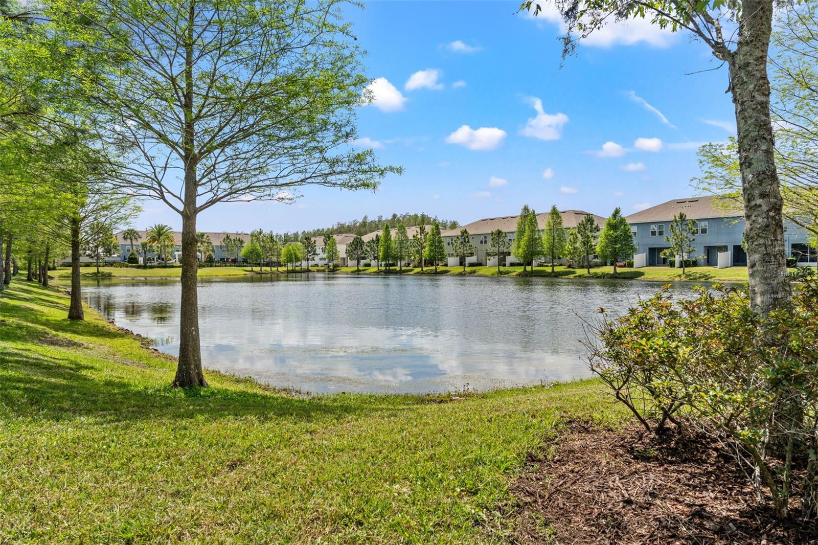 18872 NOBLE CASPIAN DR, LUTZ, FL, 33558