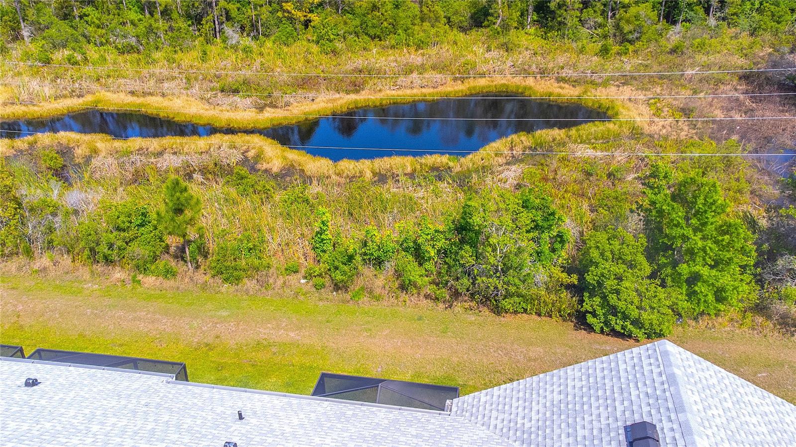 17212 BALANCE CV, LAND O LAKES, FL, 34638