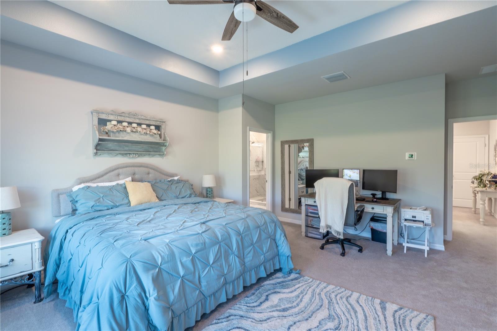 17212 BALANCE CV, LAND O LAKES, FL, 34638