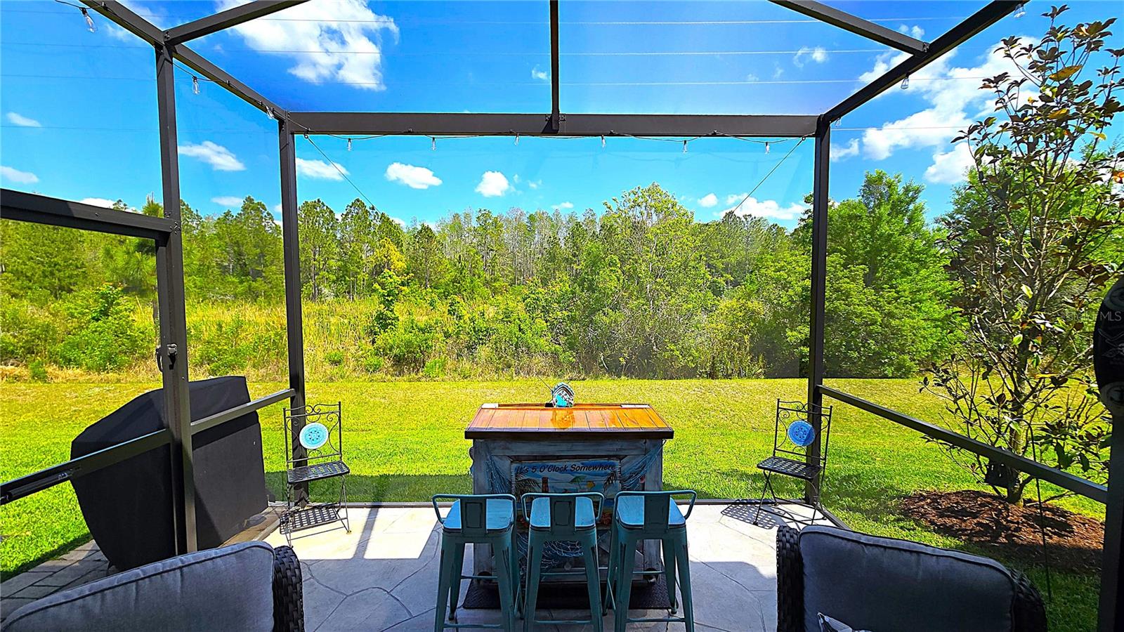 17212 BALANCE CV, LAND O LAKES, FL, 34638