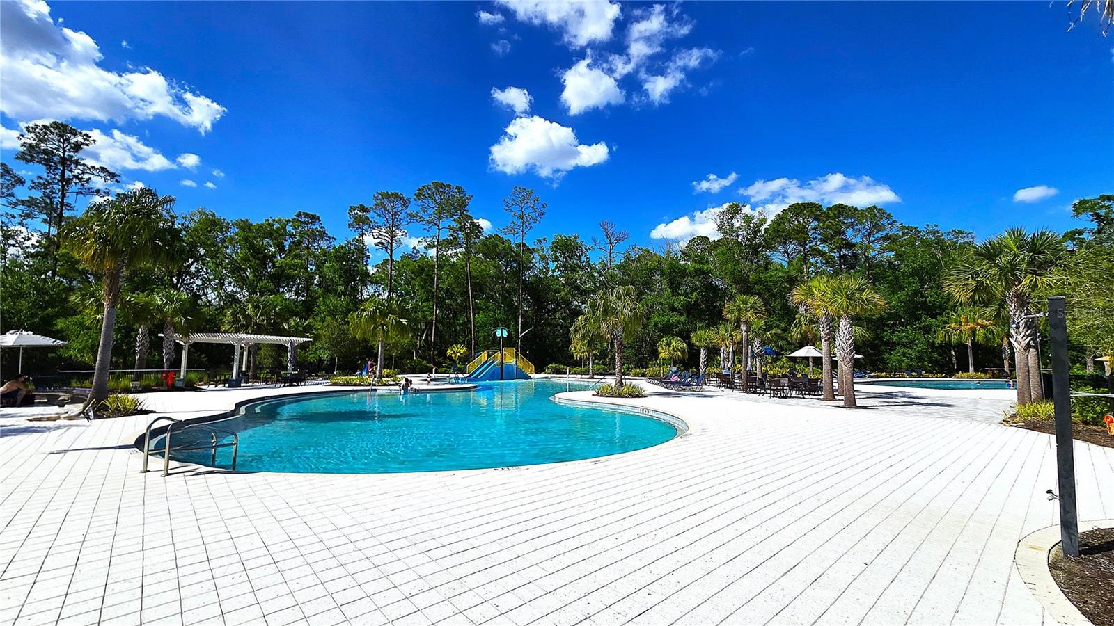 17212 BALANCE CV, LAND O LAKES, FL, 34638