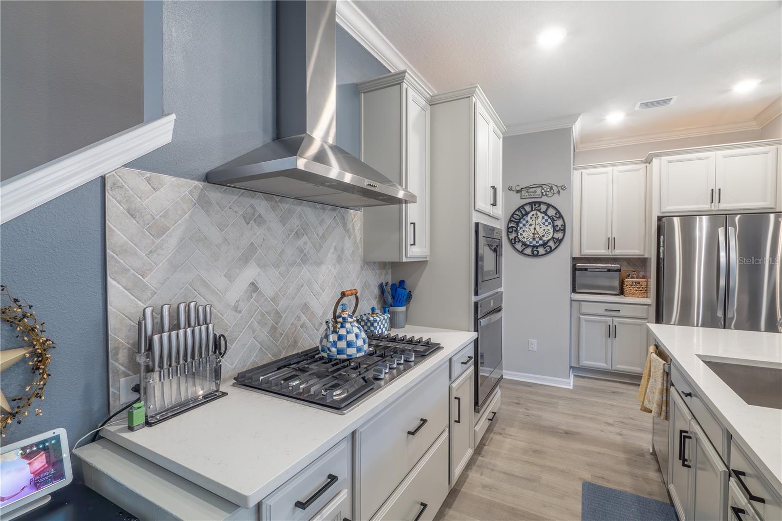 17212 BALANCE CV, LAND O LAKES, FL, 34638