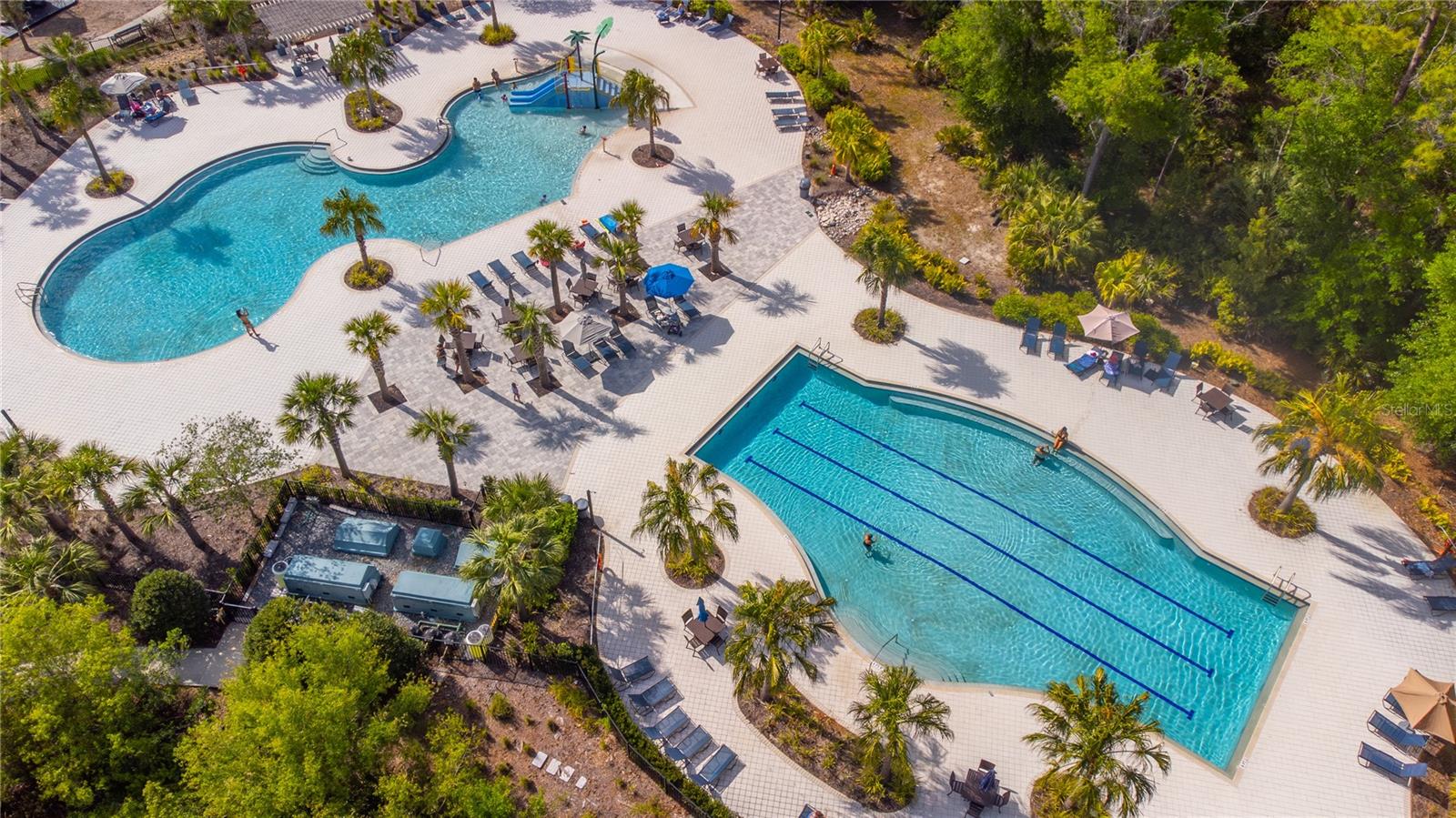 17212 BALANCE CV, LAND O LAKES, FL, 34638