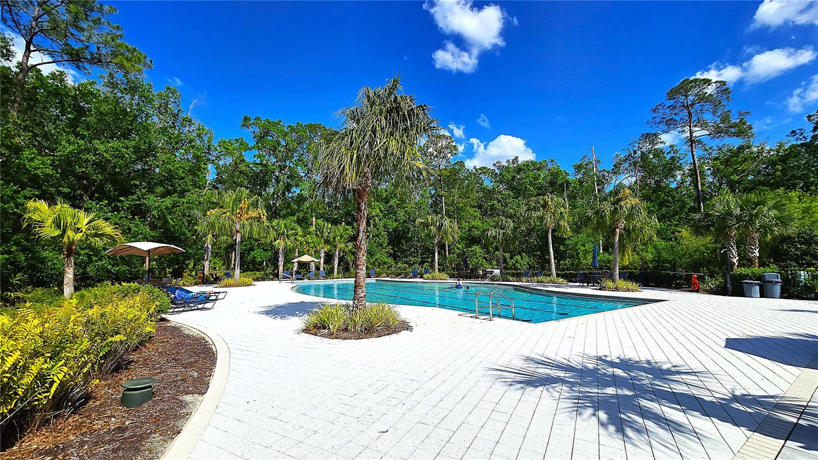 17212 BALANCE CV, LAND O LAKES, FL, 34638