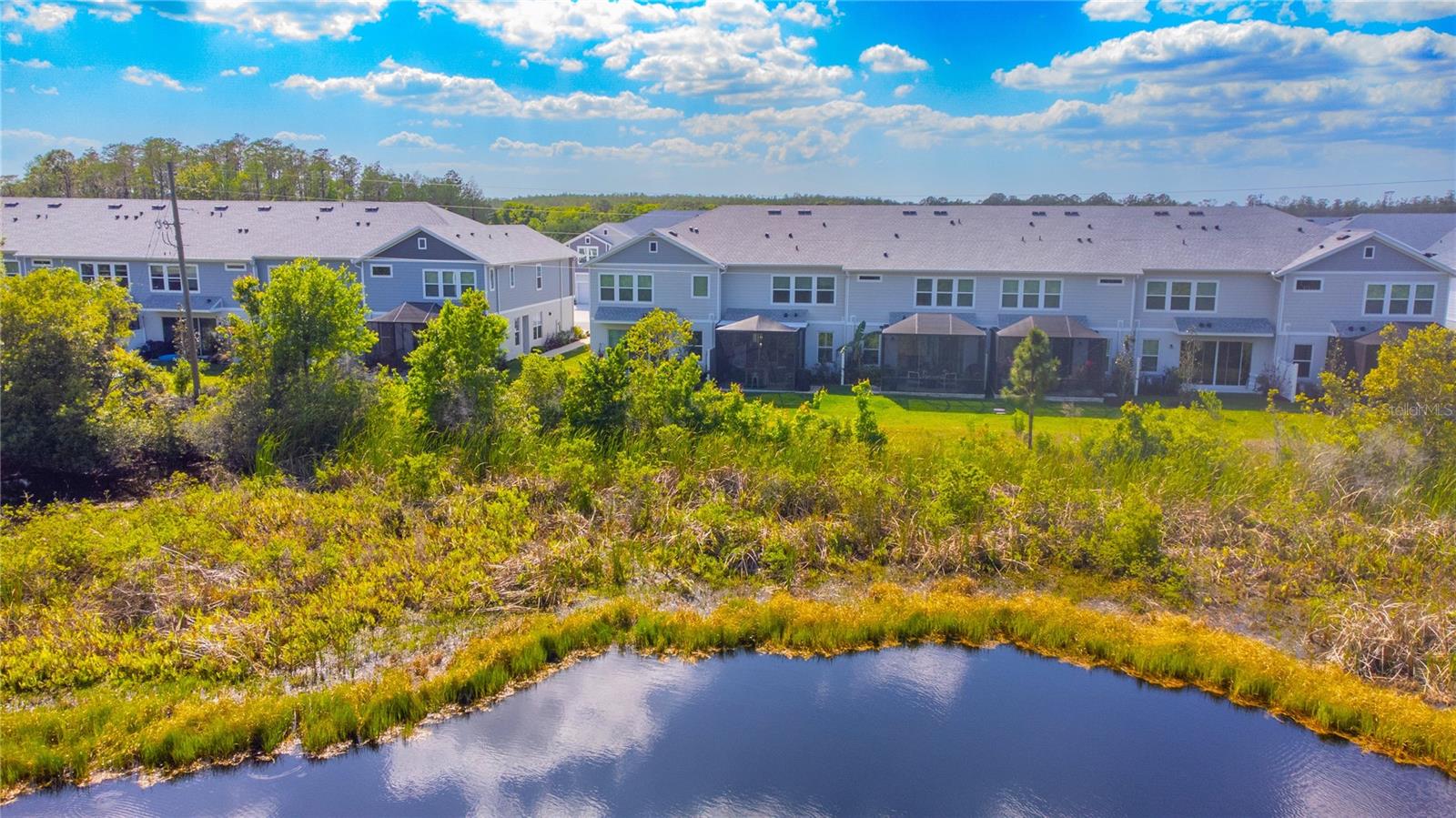 17212 BALANCE CV, LAND O LAKES, FL, 34638