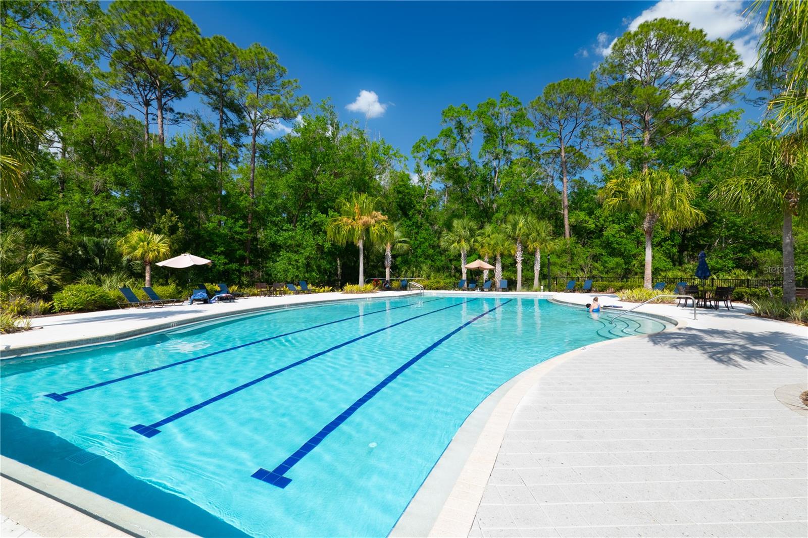 17212 BALANCE CV, LAND O LAKES, FL, 34638