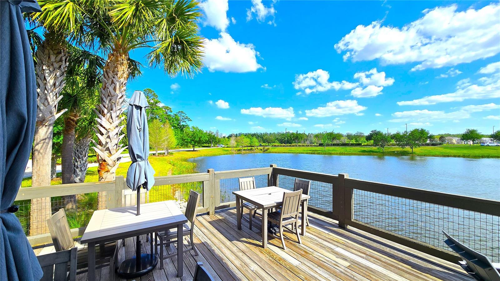 17212 BALANCE CV, LAND O LAKES, FL, 34638