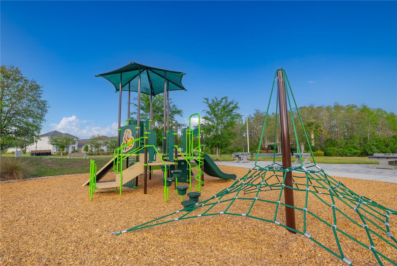 17212 BALANCE CV, LAND O LAKES, FL, 34638