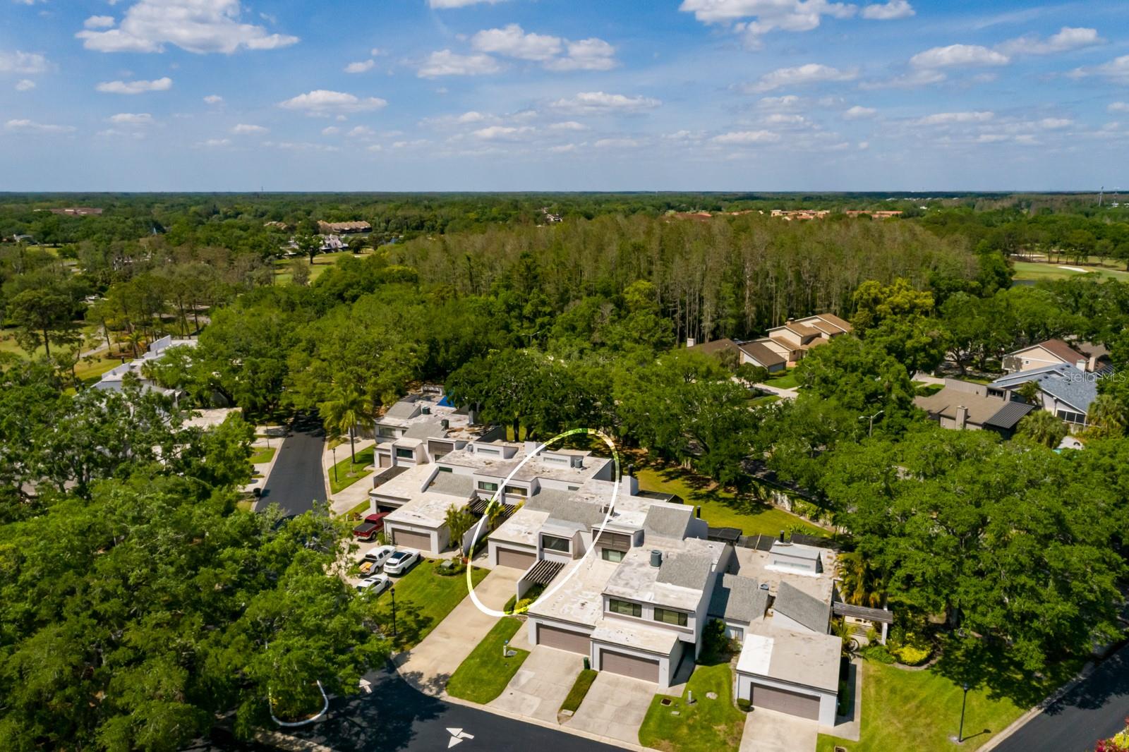 4207 FAIRWAY RUN, TAMPA, FL, 33618