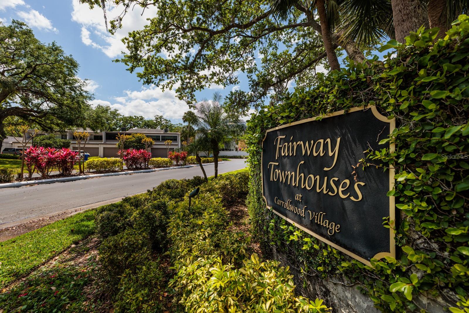 4207 FAIRWAY RUN, TAMPA, FL, 33618