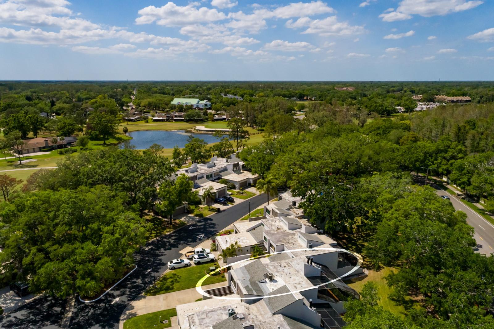 4207 FAIRWAY RUN, TAMPA, FL, 33618