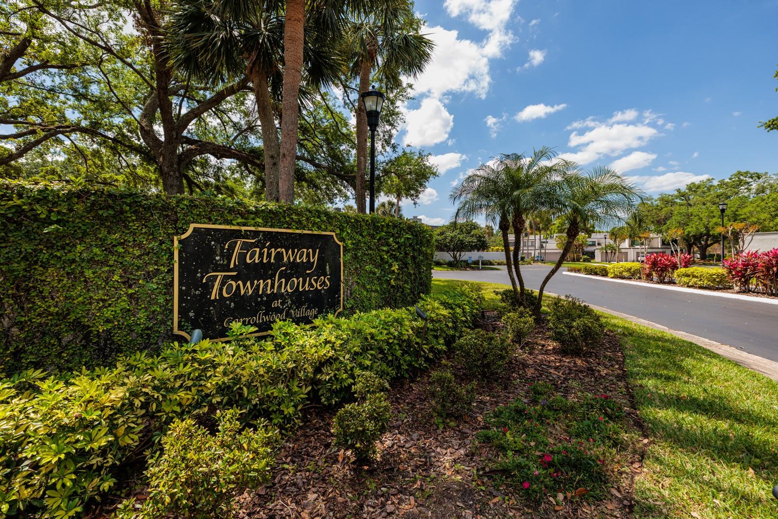 4207 FAIRWAY RUN, TAMPA, FL, 33618