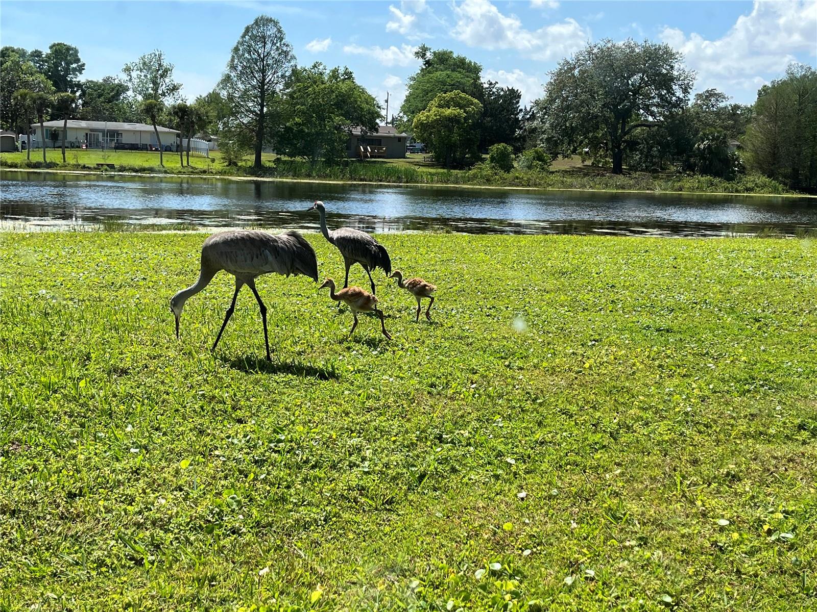 3 POINSETTIA DR, DEBARY, FL, 32713