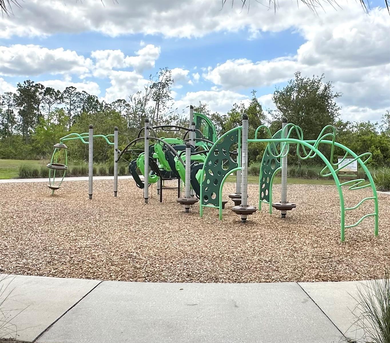 17691 PASSIONFLOWER CIR, CLERMONT, FL, 34714