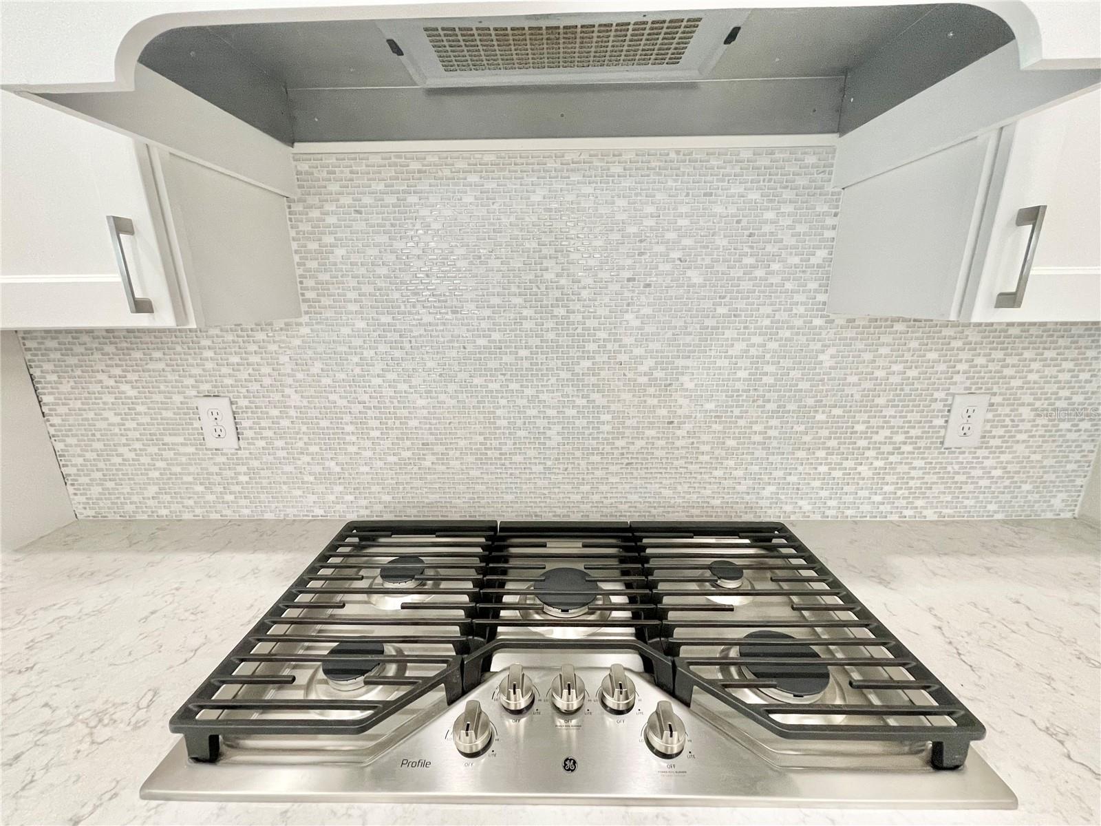 3686 SW 109TH WAY, GAINESVILLE, FL, 32608