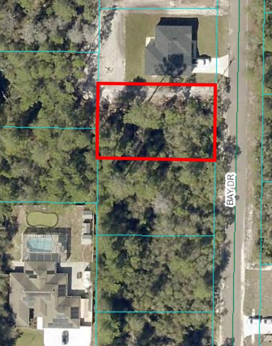 00 BAY DR #Lot 19, OCKLAWAHA, FL, 32179