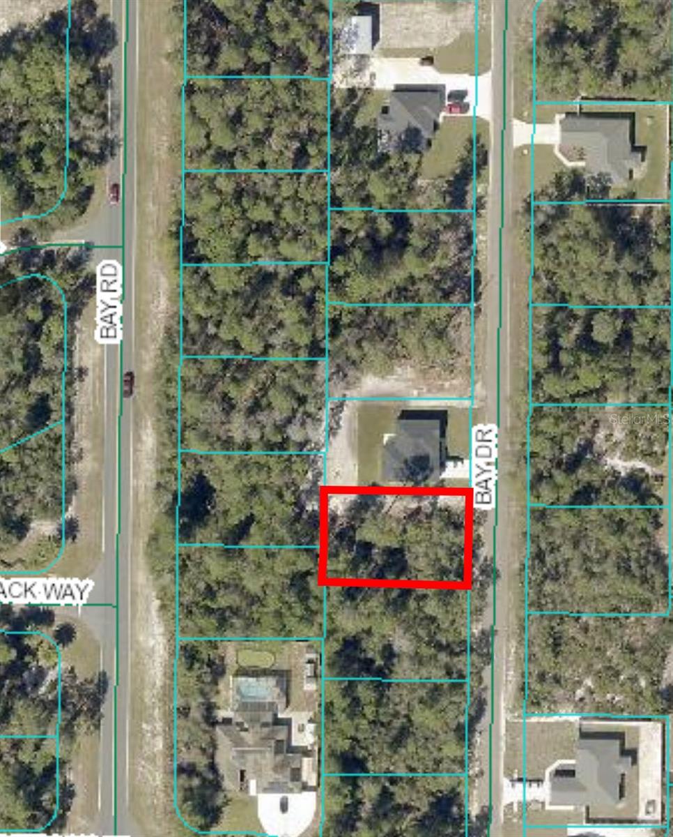 00 BAY DR #Lot 19, OCKLAWAHA, FL, 32179