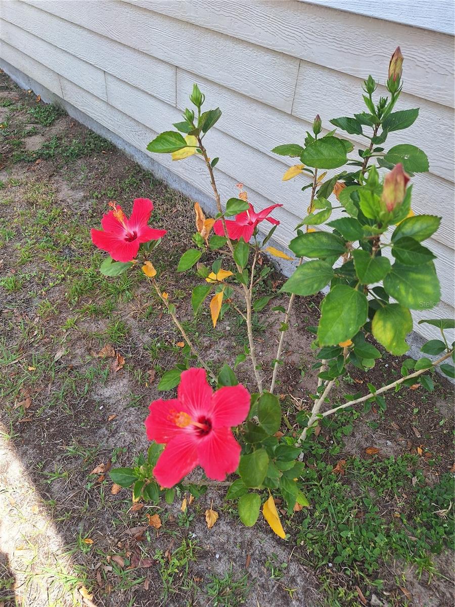 128 CANAL RD, EDGEWATER, FL, 32141