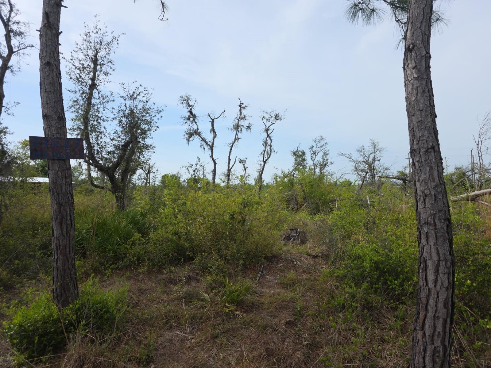 33527 MAPLE LN, PUNTA GORDA, FL, 33982