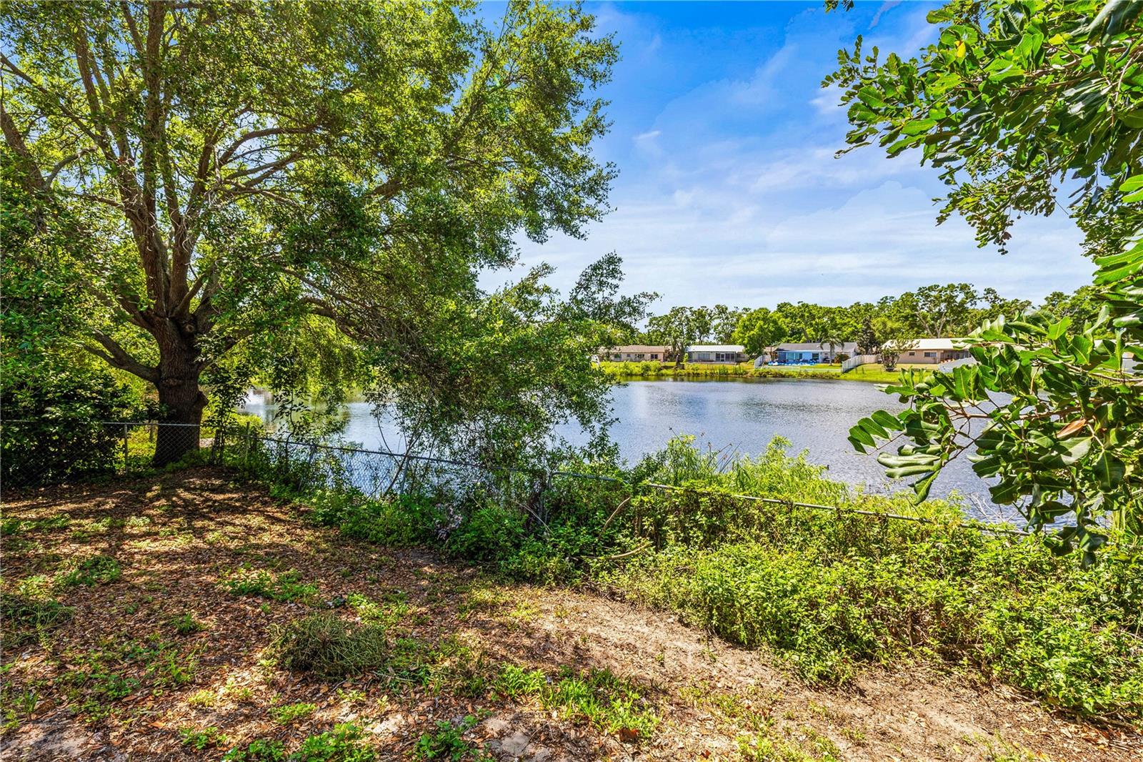 2436 BEACON GROVES BLVD, PALM HARBOR, FL, 34683