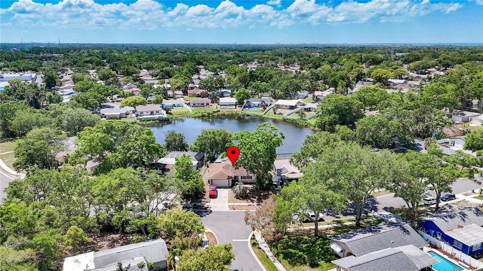 2436 BEACON GROVES BLVD, PALM HARBOR, FL, 34683