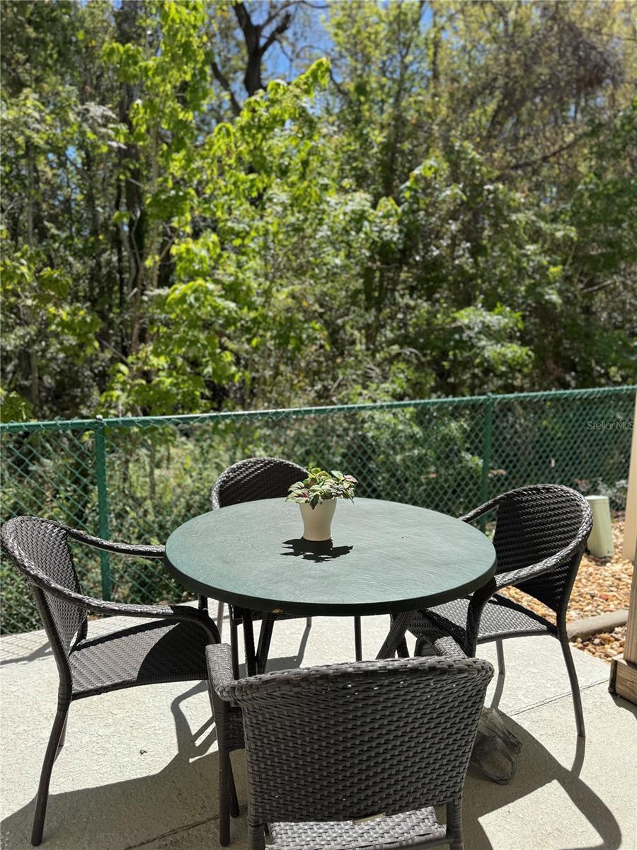 1119 PARK RIDGE CIR, KISSIMMEE, FL, 34746