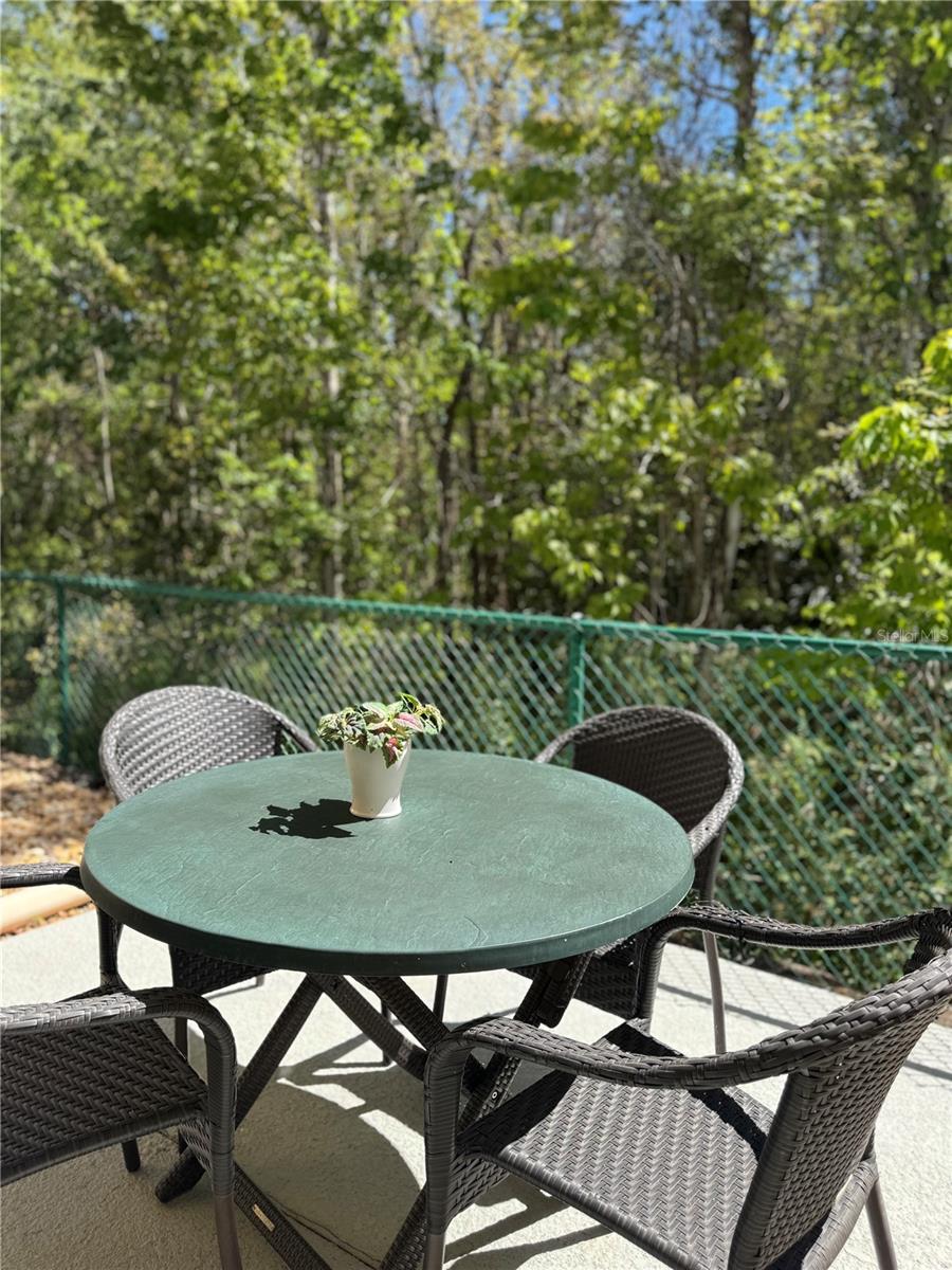 1119 PARK RIDGE CIR, KISSIMMEE, FL, 34746