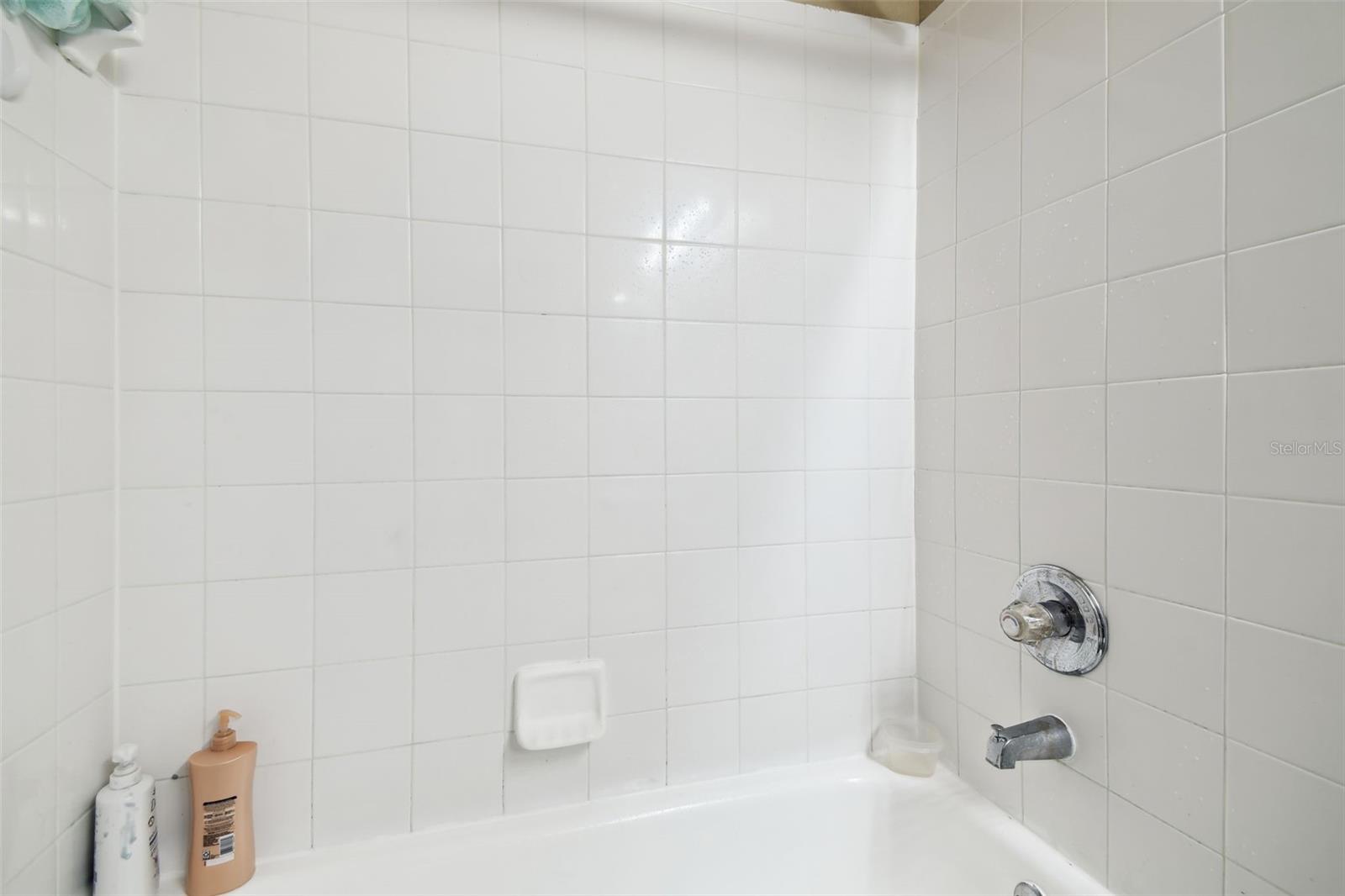 4889 MYRTLE VIEW DR N, MULBERRY, FL, 33860