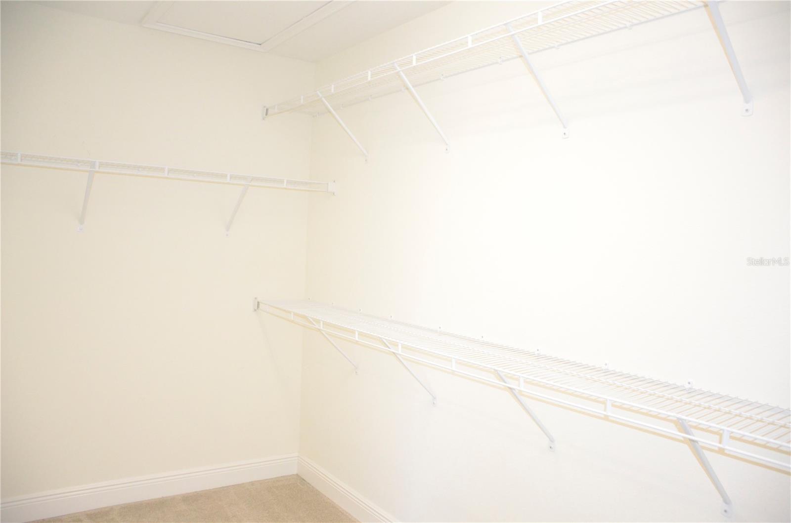 17833 ALTHEA BLUE PL, LUTZ, FL, 33558