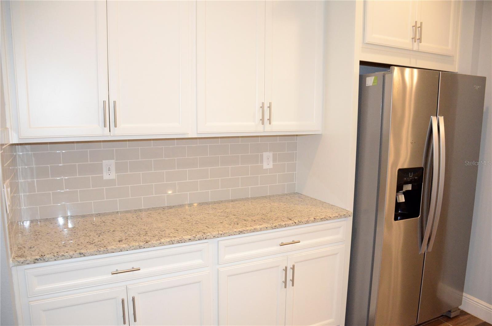 17833 ALTHEA BLUE PL, LUTZ, FL, 33558