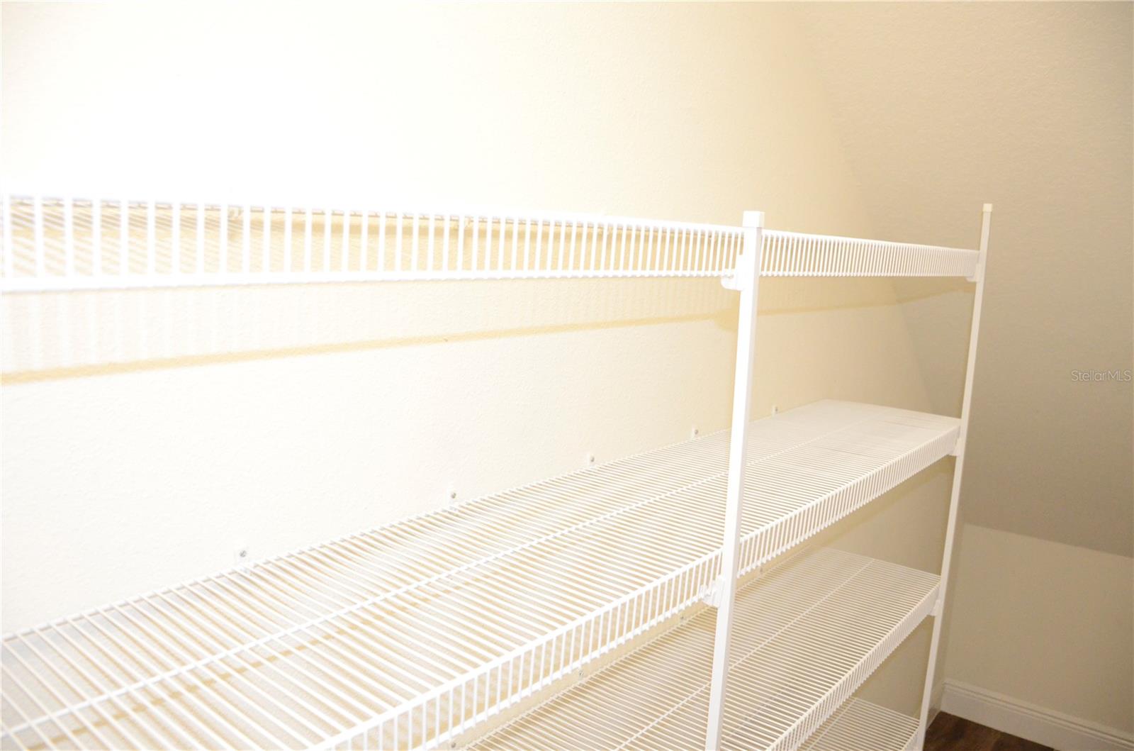 17833 ALTHEA BLUE PL, LUTZ, FL, 33558