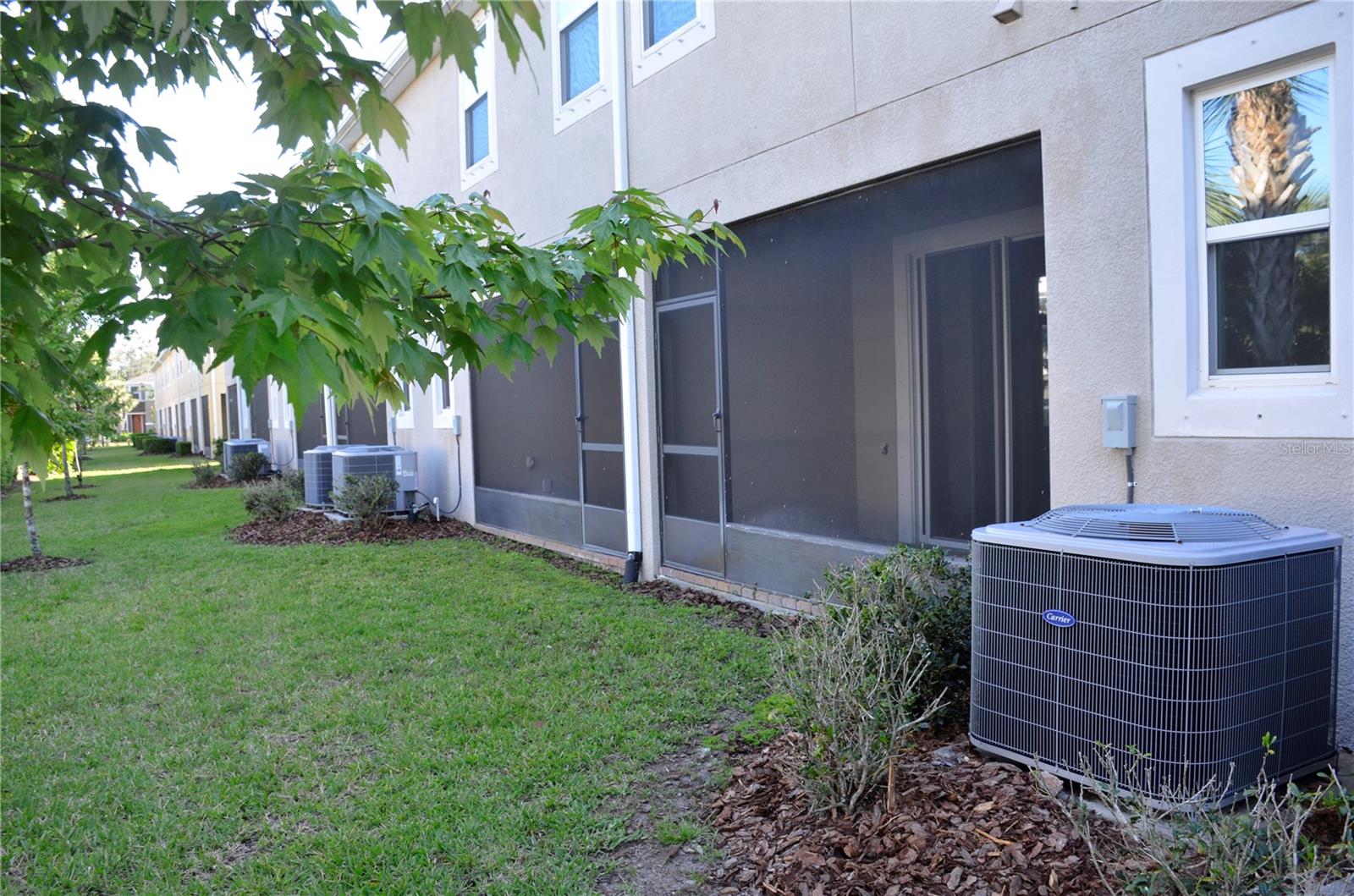 17833 ALTHEA BLUE PL, LUTZ, FL, 33558