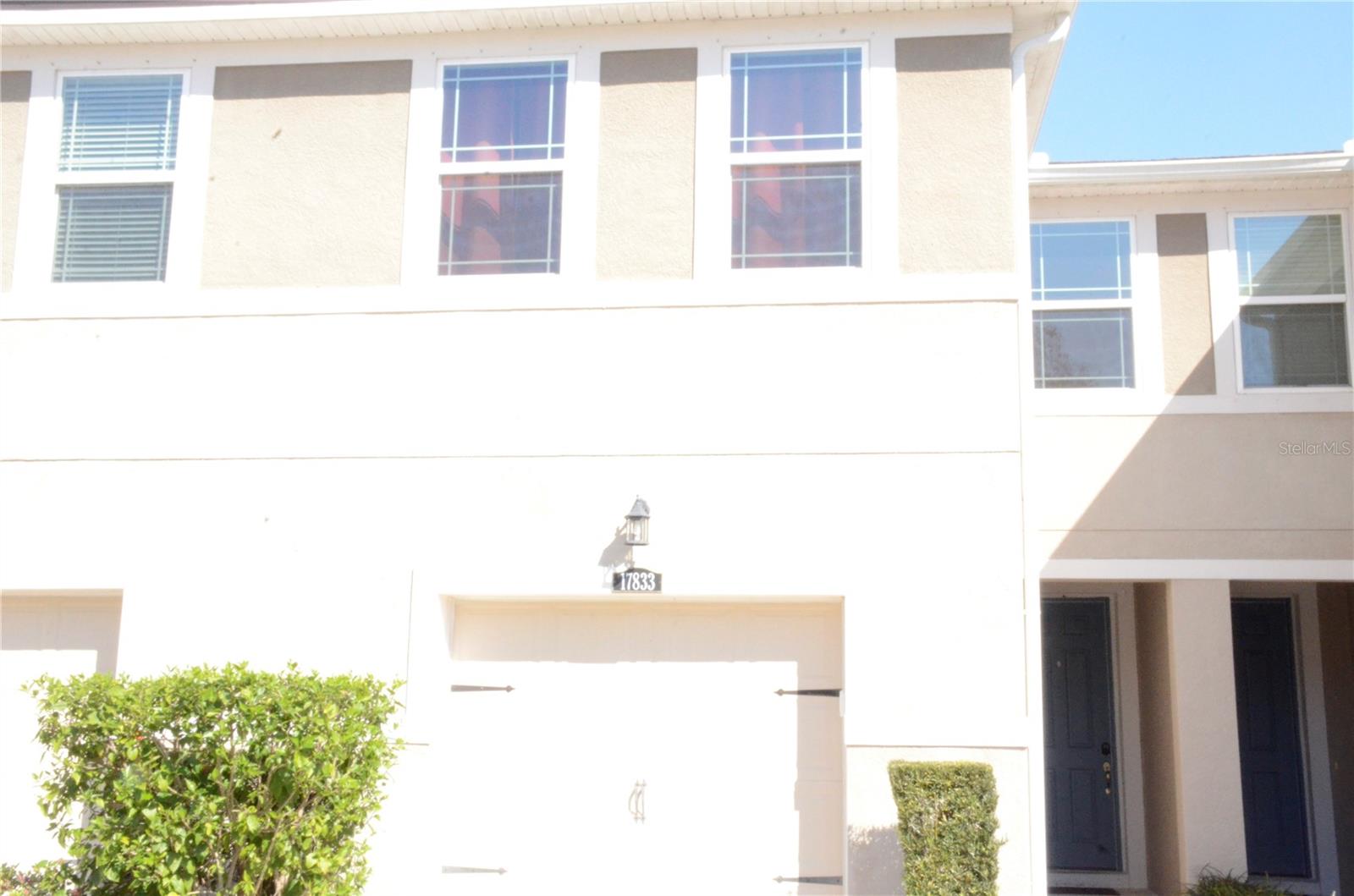 17833 ALTHEA BLUE PL, LUTZ, FL, 33558