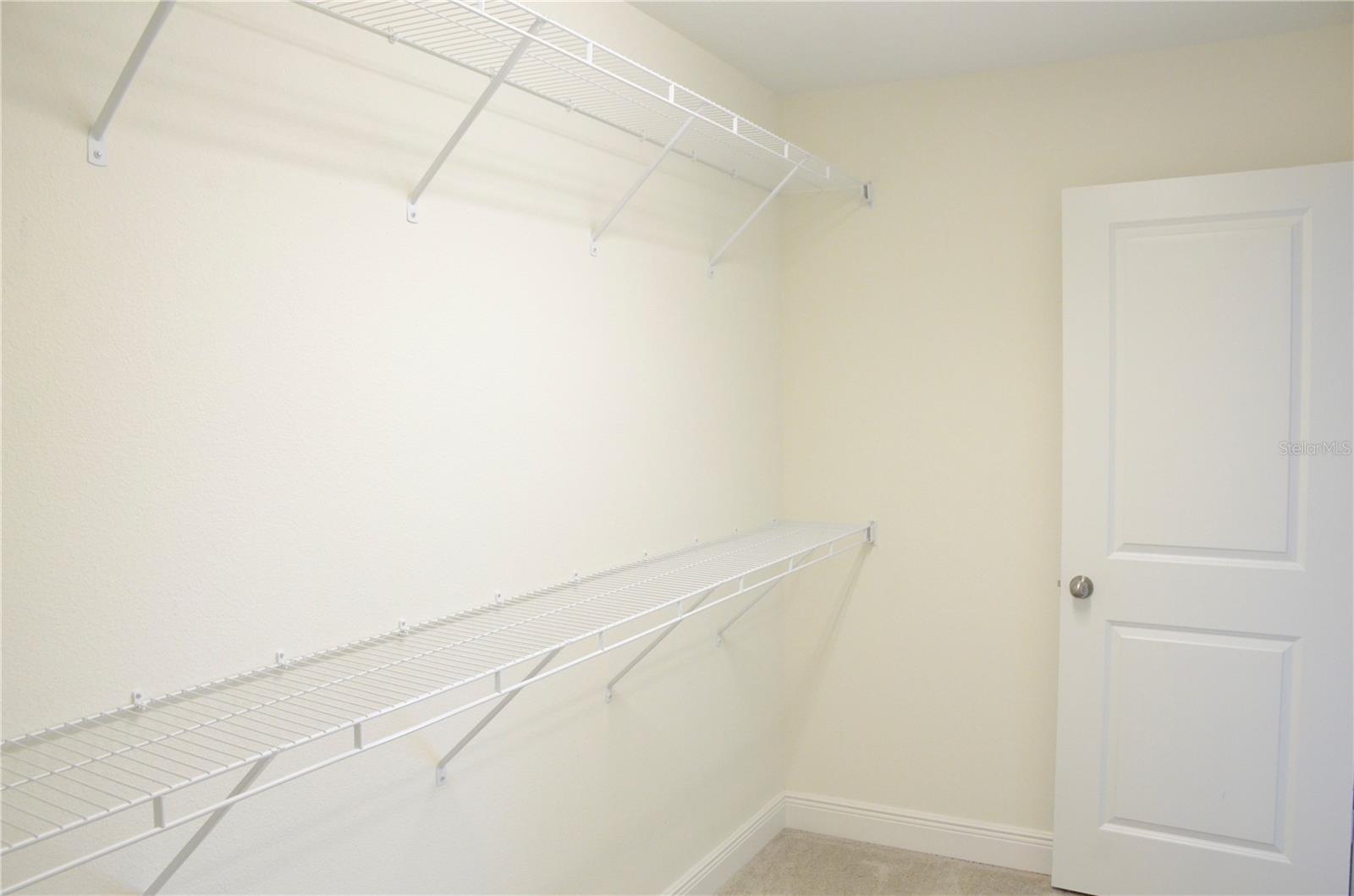 17833 ALTHEA BLUE PL, LUTZ, FL, 33558