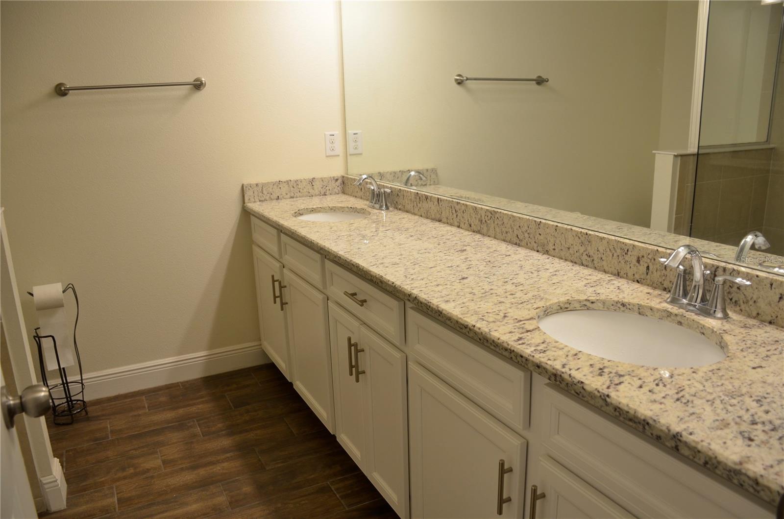 17833 ALTHEA BLUE PL, LUTZ, FL, 33558