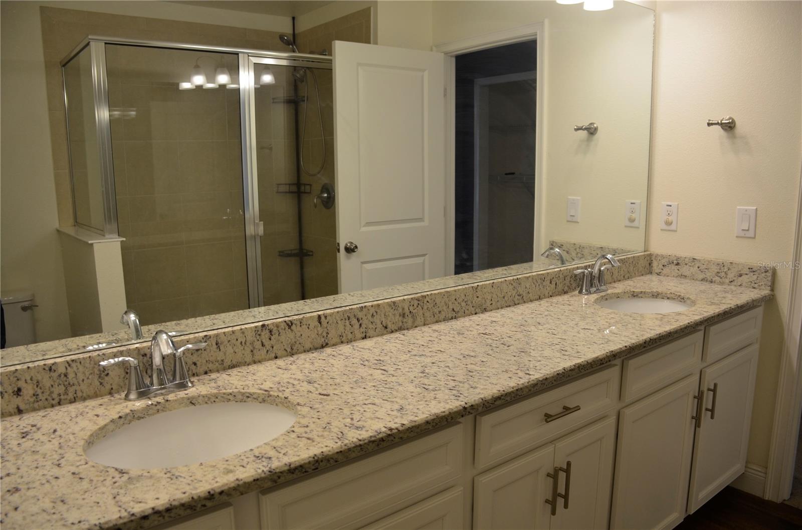 17833 ALTHEA BLUE PL, LUTZ, FL, 33558