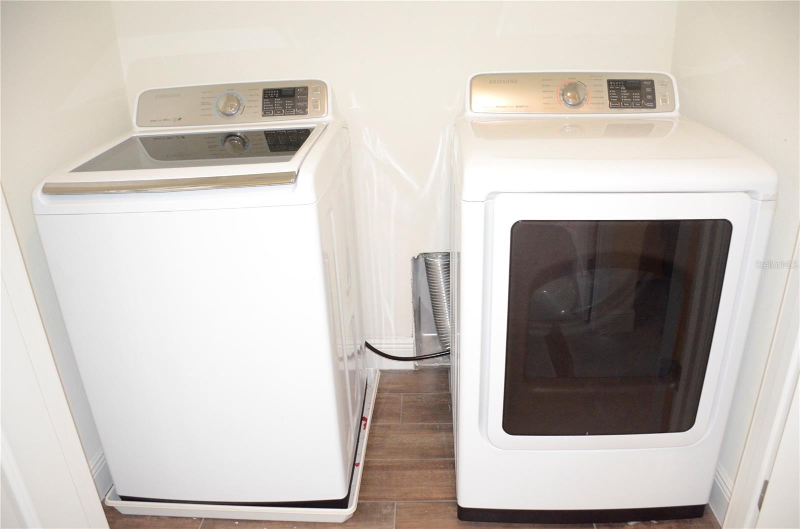 17833 ALTHEA BLUE PL, LUTZ, FL, 33558