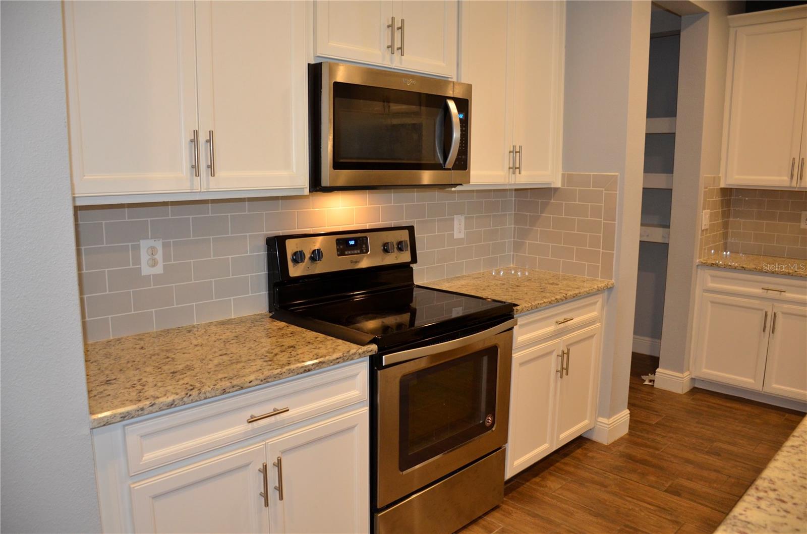 17833 ALTHEA BLUE PL, LUTZ, FL, 33558