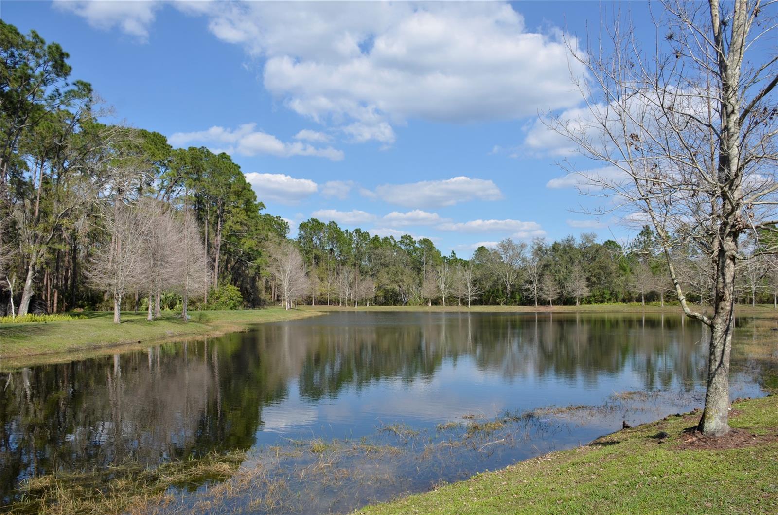 17833 ALTHEA BLUE PL, LUTZ, FL, 33558