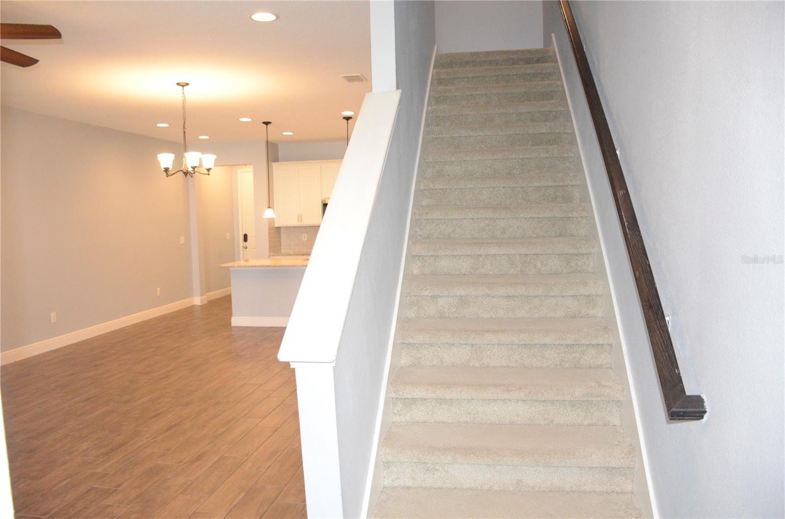 17833 ALTHEA BLUE PL, LUTZ, FL, 33558